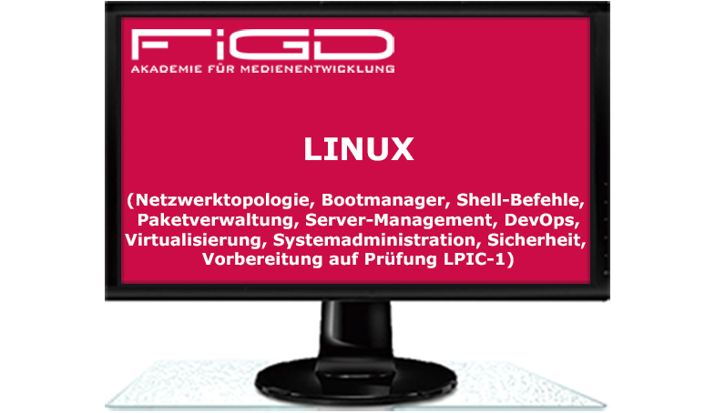 LINUX (Netzwerktopologie, Bootmanager, Shell-Befehle, Paketverwaltung, Server-Management, DevOps, Virtualisierung, Systemadministration, Sicherheit, Vorbereitung auf Prüfung LPIC-1)